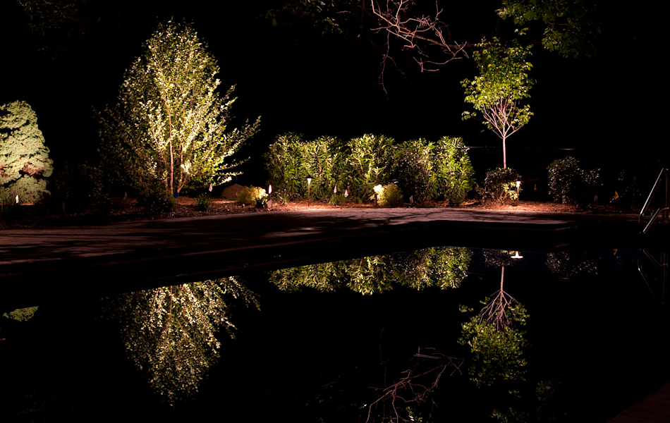 a landscape and accent lighting seen at night